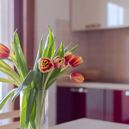 Pioppeto Nord - Premium Holiday home *